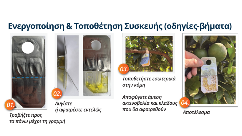 ArticleVYNYTY CITRUS_Image_02.png